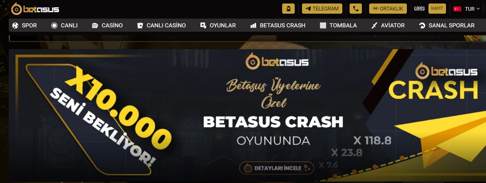 Betasus